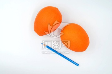 白色背景上的橙子和铅笔