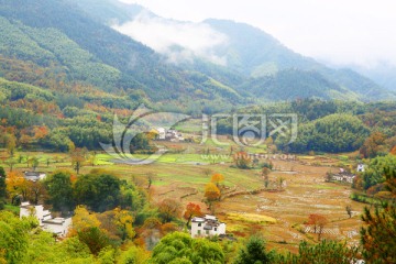 山村田野