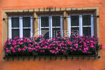 窗户与花