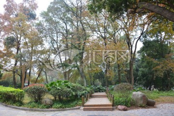 林间小道