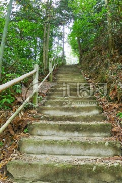 木坑竹海 阶梯