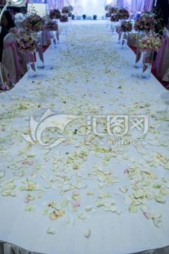 鲜花步道