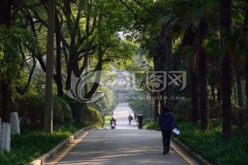 南师大风景