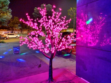 灯光树