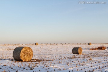 雪后田野 大草卷 草捆