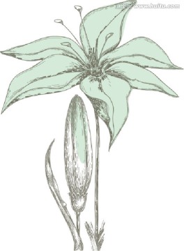 花卉