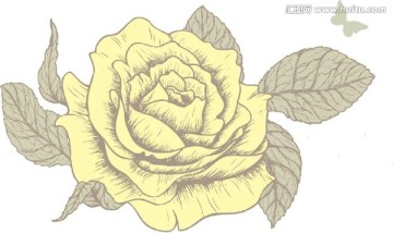 花卉