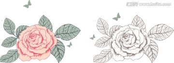 花卉