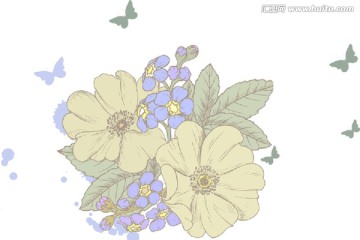 花卉