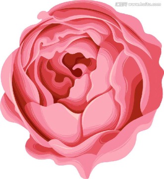 花卉