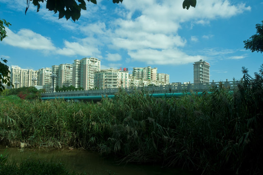 晋江城市景观