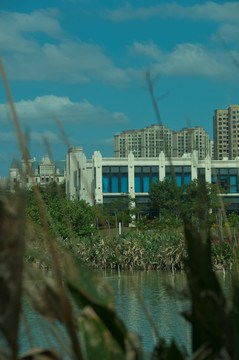 湿地边建筑