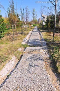 石子路 园林道路
