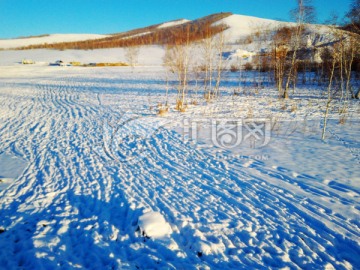 冬季雪地牧场