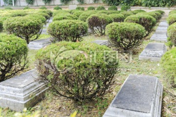 广州市十九路军坟场战士墓