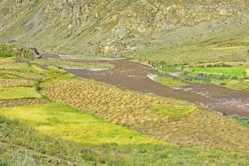 藏区农业