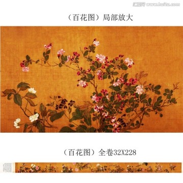 花卉