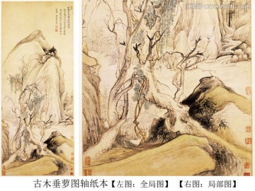 古木垂萝