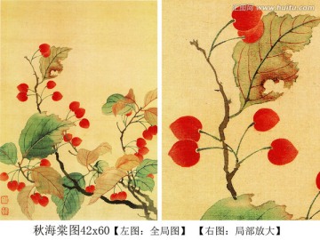 海棠