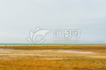 尕海湖 湖泊