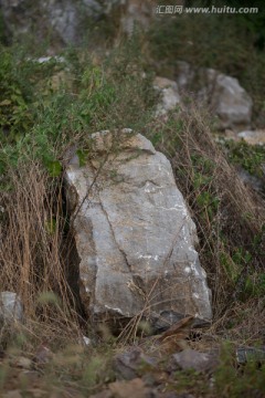 假山石头