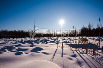 冬季雪景