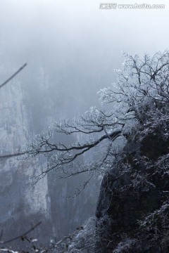 张家界