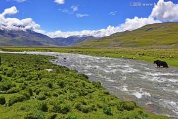 西藏 藏区风光