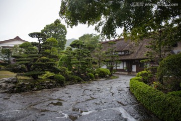 忍野八海