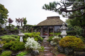 忍野八海