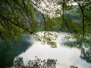 九溪烟树风光