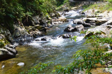 山中溪流