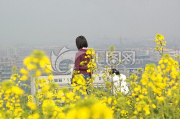 油菜花 郊游登山