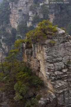 张家界 武陵源 著名景点 旅游