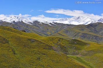 西藏风光 高原草原