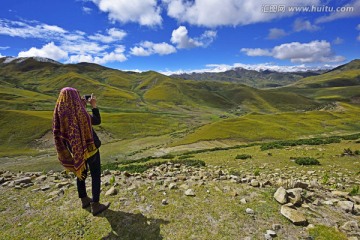 西藏 高原 草原