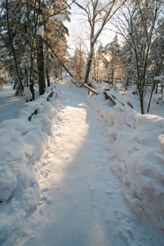 林海雪原