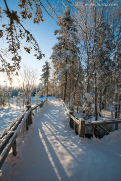 森林雪景