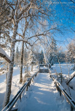 东北森林公园雪景