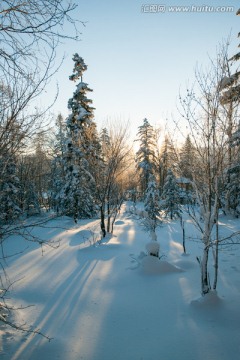 林海雪原