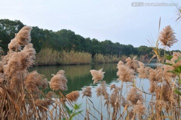 沙家浜风景区