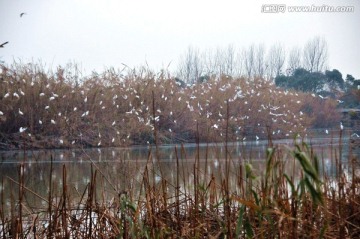 沙家浜风景区