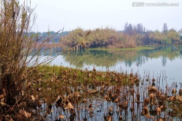 沙家浜风景区