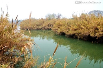 沙家浜风景区