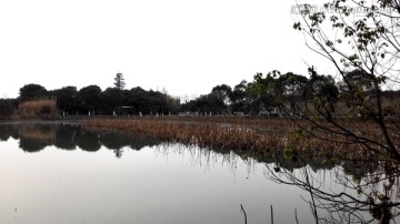 沙家浜风景区