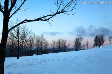 林海雪原 雪乡 树木