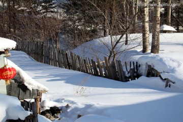 雪乡 双峰林场 春节