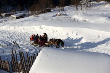 中国雪乡 马拉雪橇 雪橇