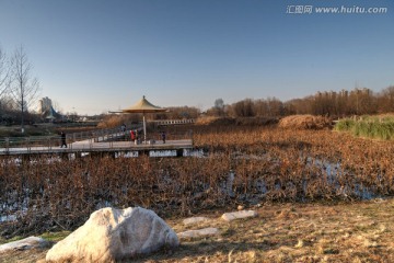 西安灞河湿地公园