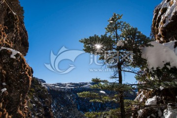 轿子雪山一线天苍松迎客